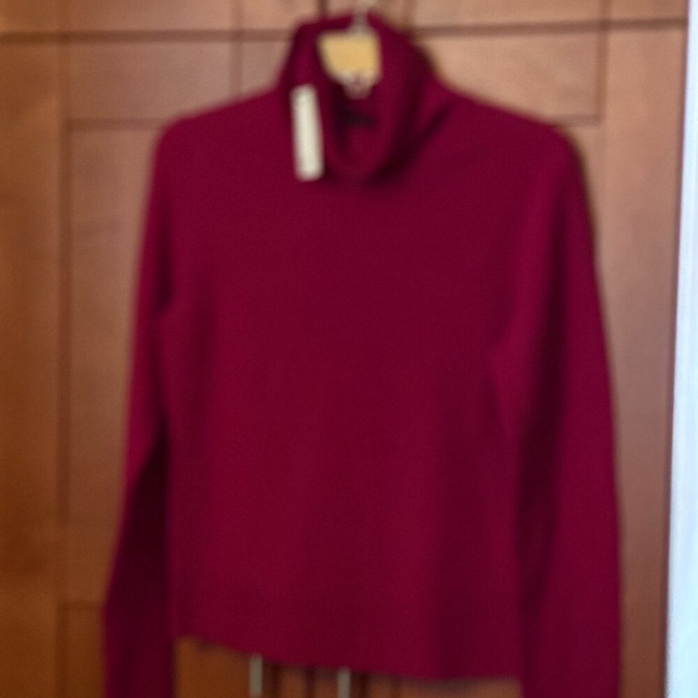 Banana Republic Cashmere Sz M Rasberry Turtleneck NWT $165